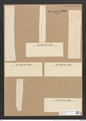 Nitzschia longissima (Breb.) Ralfs (de-Toni-Nr.: Genus 47, Species 2146) Zeichnungen Sammlung Grunow Nr. 4316 (NHMW-BOT-W0372344)